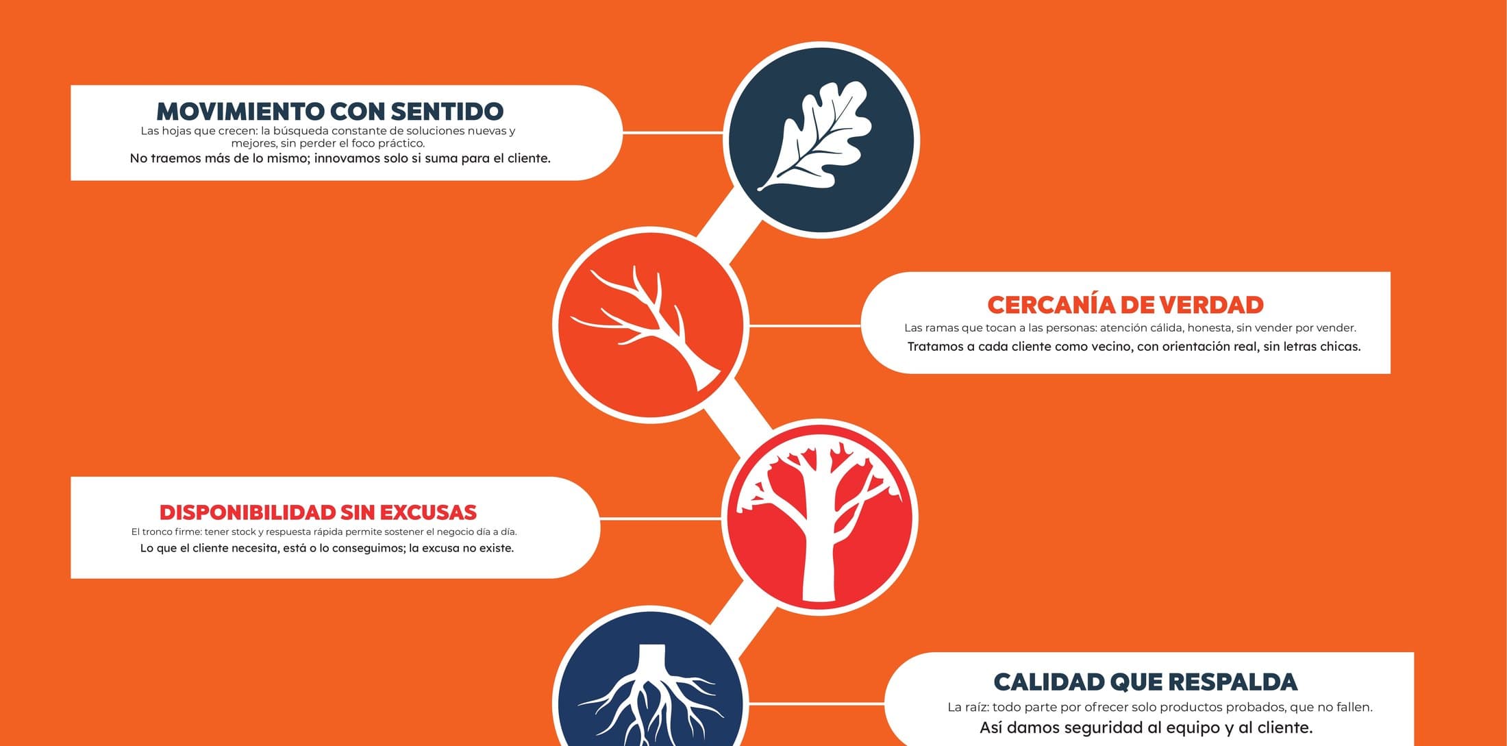 Los cuatro valores de Roble