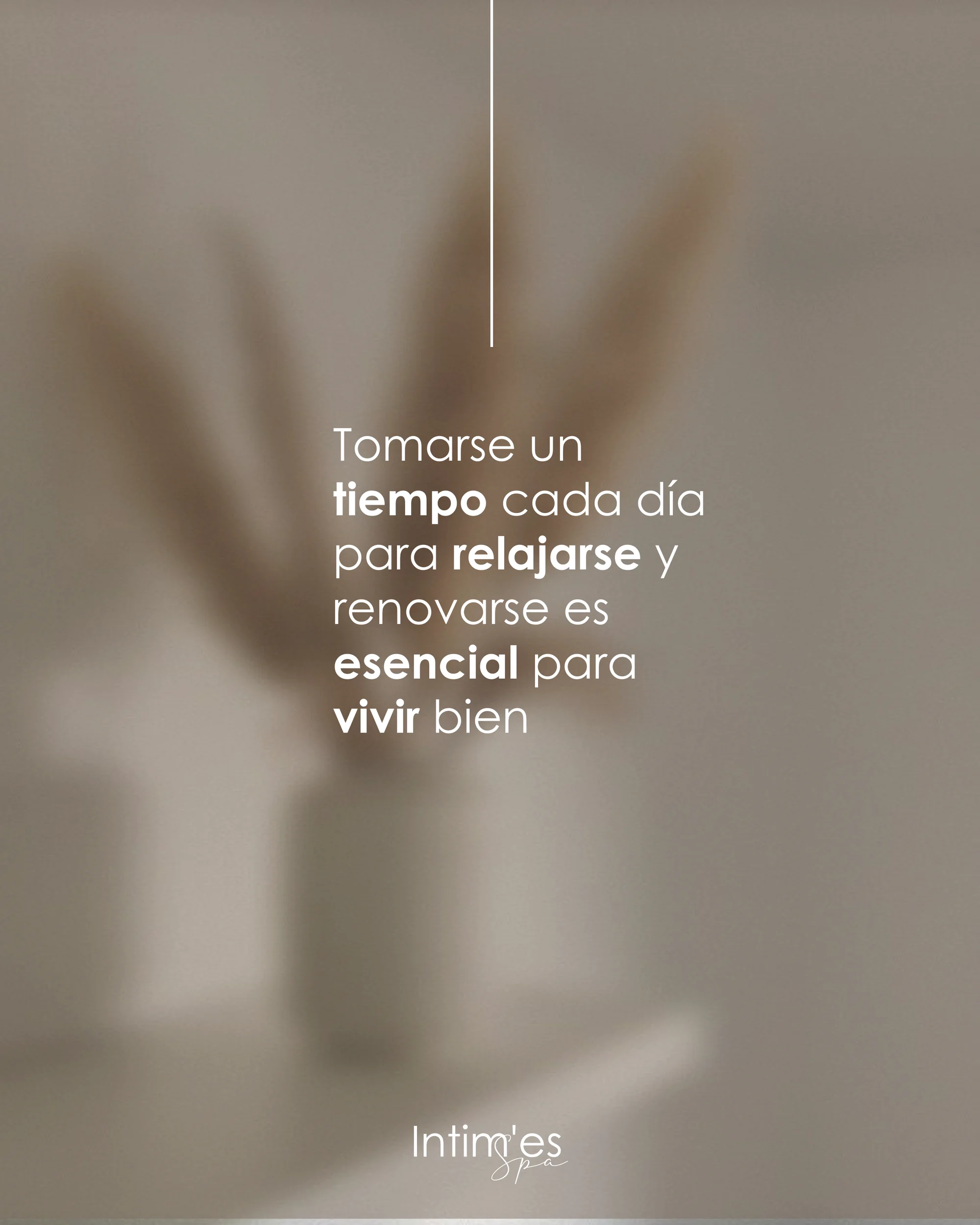 Intim'es — lámina 9