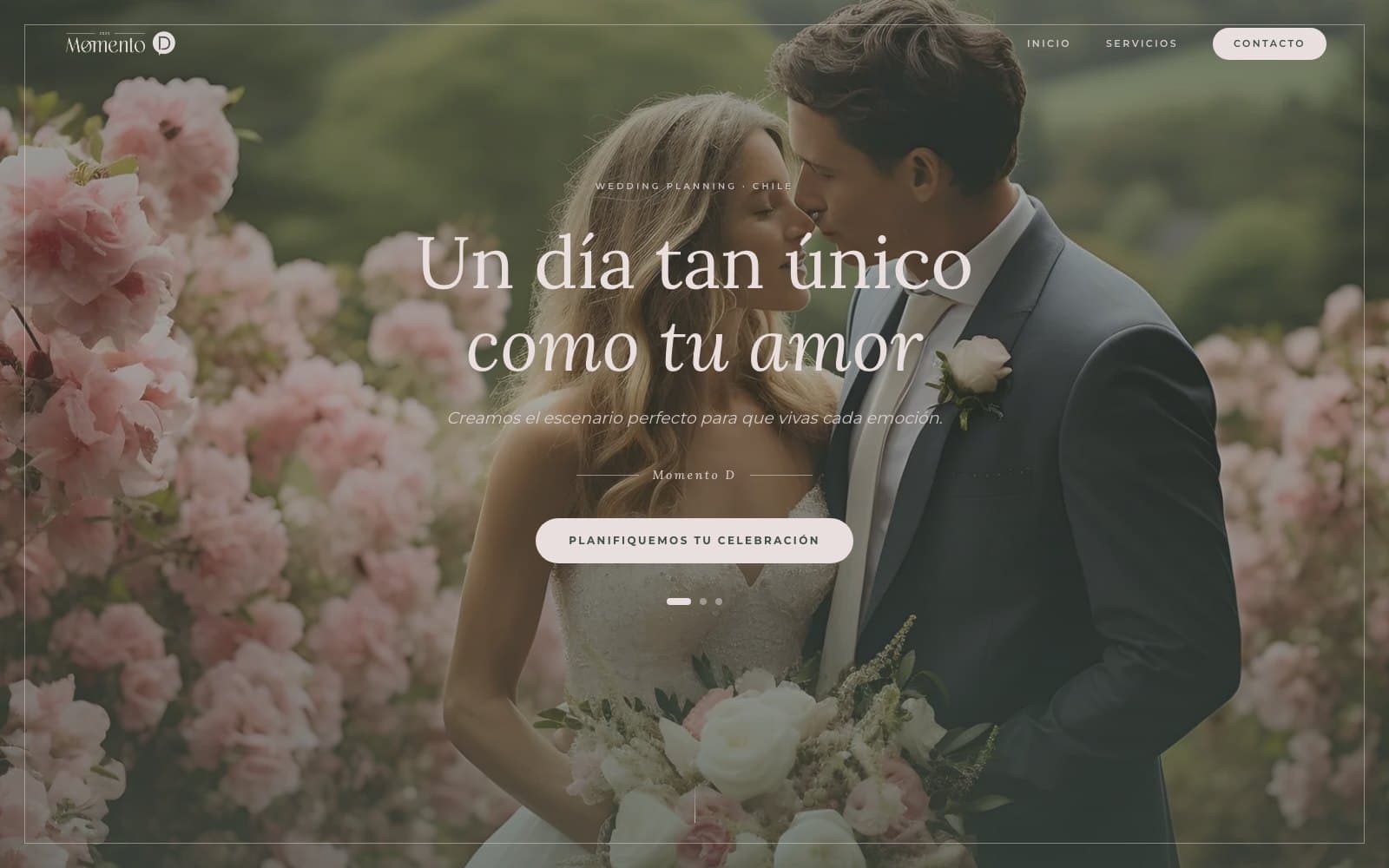 Sitio web de Momento D